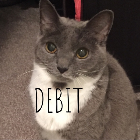 Smoke-free, pet friendly home! - Picture 3 of 5